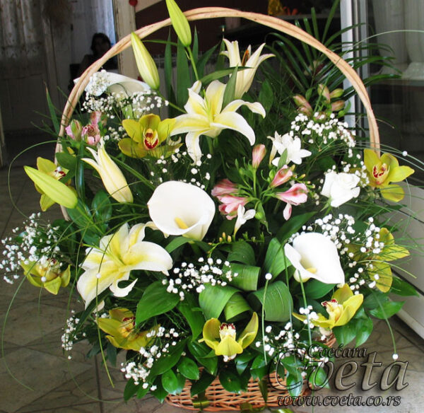 Aranžman - 021
