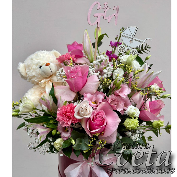 Rodjendan / rodjenje - 007