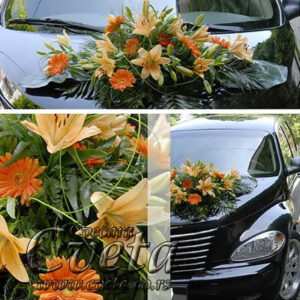 Dekoracija vozila - 06