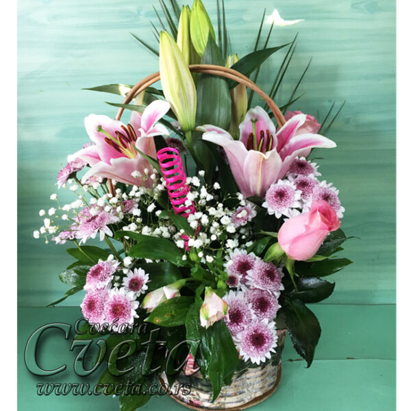 Poklon korpa cveća - Ara_041
