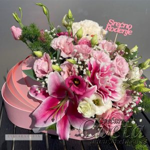 Beba je stigla - 010